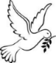 White Dove